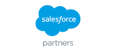 Salesforce Partners