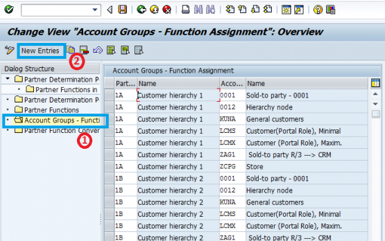 sap business partner account assignment group