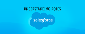 Understanding Roles in Salesforce | APPSeCONNECT