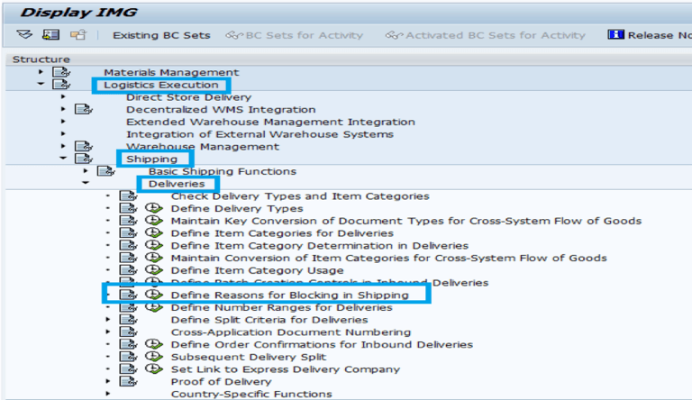 how-to-create-custom-delivery-block-in-sap-appseconnect