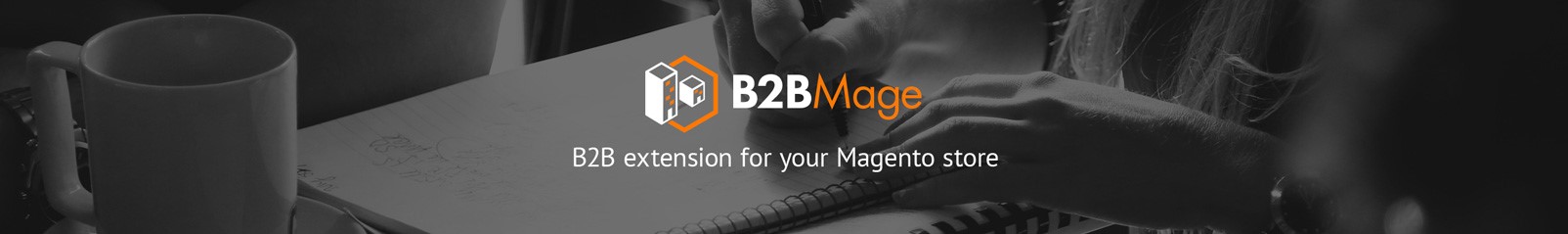 B2BMage Magento Extension